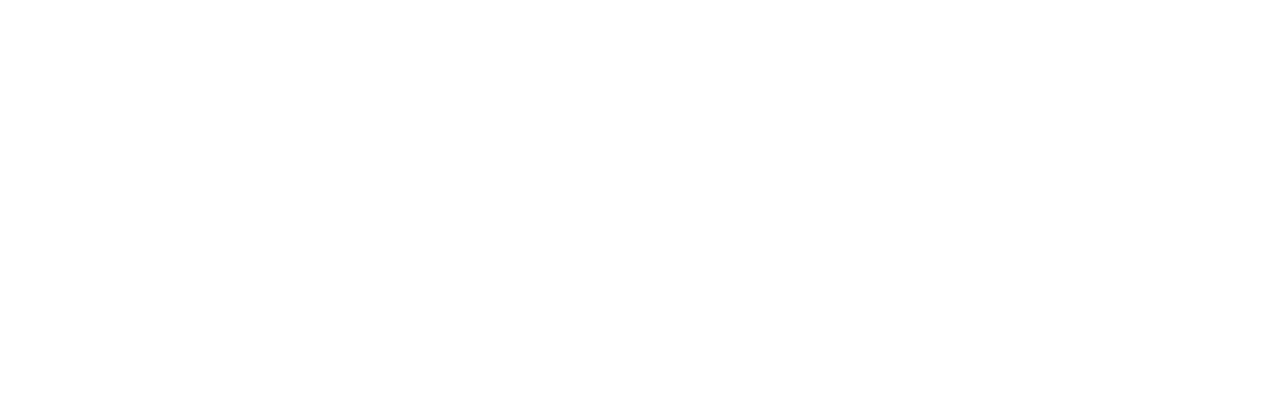 Logo Salvvy