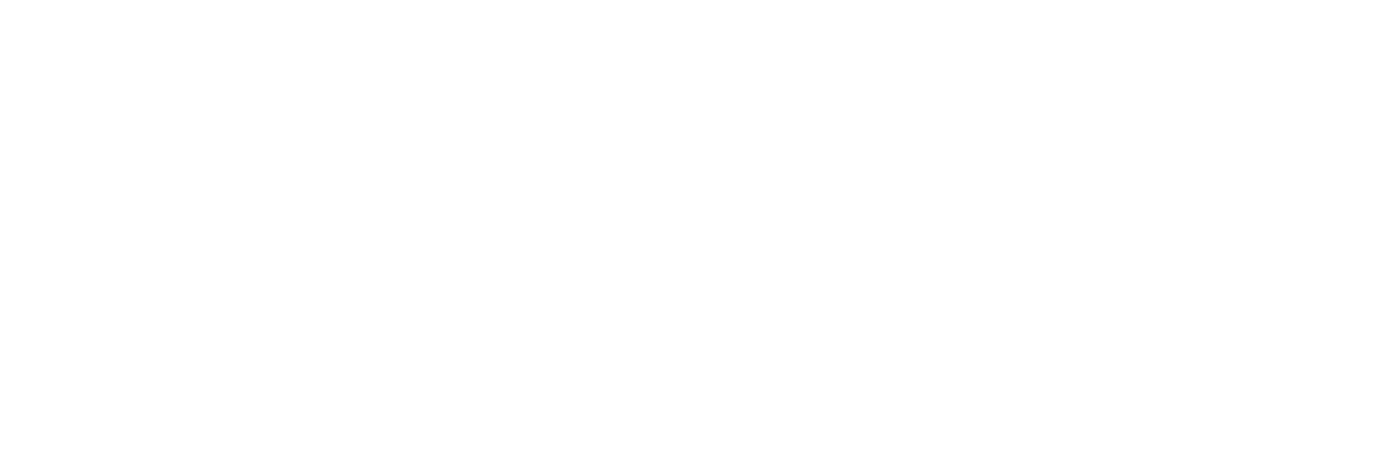 Salvvy Logo