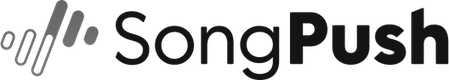 Referenzkunde Salvvy - Songpush